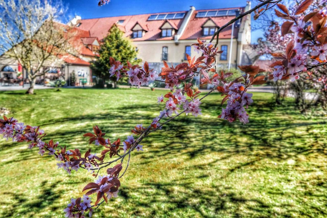 Hotel Und Restaurant Rittergut Kreipitzsch Наумбург Екстер'єр фото